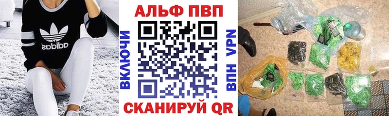 APVP СК КРИС  Гусев 