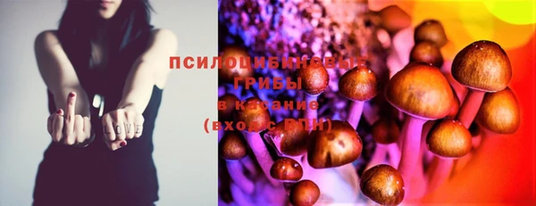 таблы Бронницы