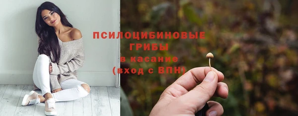 таблы Бронницы