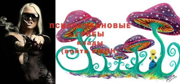 mdpv Бугульма